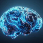 Scientists reveal a hidden hormone switch for learning