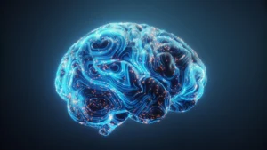 Scientists reveal a hidden hormone switch for learning