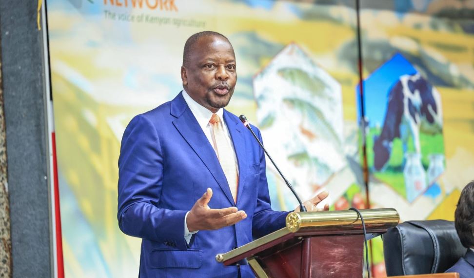 “Stop Uprooting Your Leaders”: Kagwe Warns Mt Kenya as He Throws Weight Behind Ruto