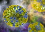 New Flu Strain and Low Vaccination Rates Could Mean Aggressive Flu Season Ahead