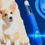 Take our quiz on the year in health and biotechnology