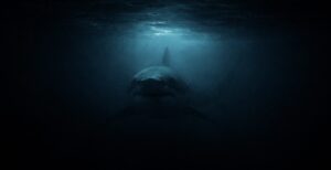 Horror Scenario: American Triathlete Killed by Shark During Training, Remains Found 40 Kilometers Away