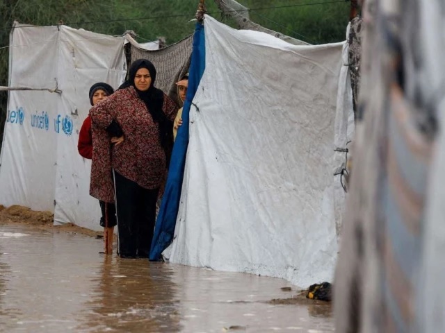 Pakistan, seven other Muslim states voice alarm over Gaza humanitarian crisis