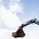 EUDR delay now likely to go ahead