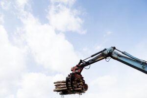 EUDR delay now likely to go ahead