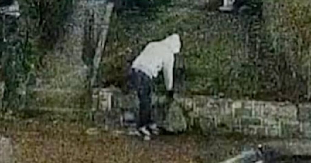 Suspect arrested in January 2021 D.C. pipe bomb case