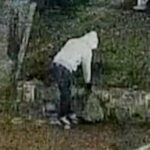 Suspect arrested in January 2021 D.C. pipe bomb case