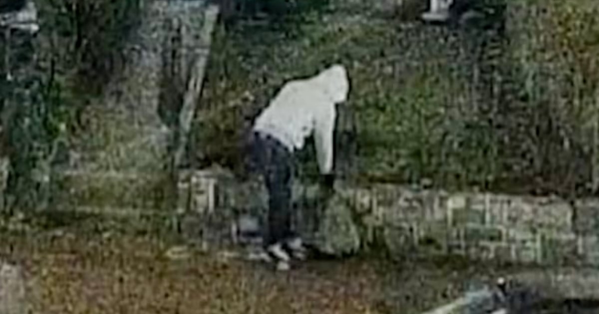 Suspect arrested in January 2021 D.C. pipe bomb case