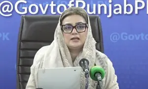 Maryam has no role in arranging meetings for prisoners: Azma