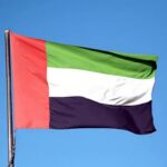 Overseas Pakistani Wins Hearts After Lifting Fallen UAE Flag on Dubai Highway