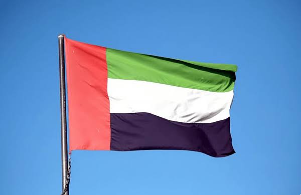 Overseas Pakistani Wins Hearts After Lifting Fallen UAE Flag on Dubai Highway