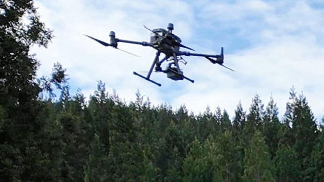 Japanese drone school develops AI system to track bears amid rise in encounters