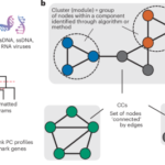 Machine learning enables scalable and systematic hierarchical virus taxonomy
