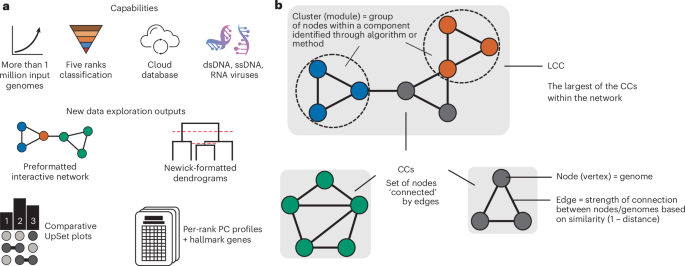 Machine learning enables scalable and systematic hierarchical virus taxonomy