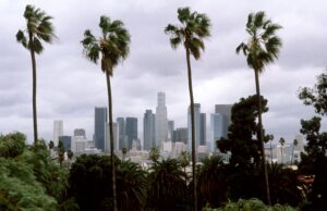 A Year After the Fires, I’ve Never Felt More Connected to Los Angeles