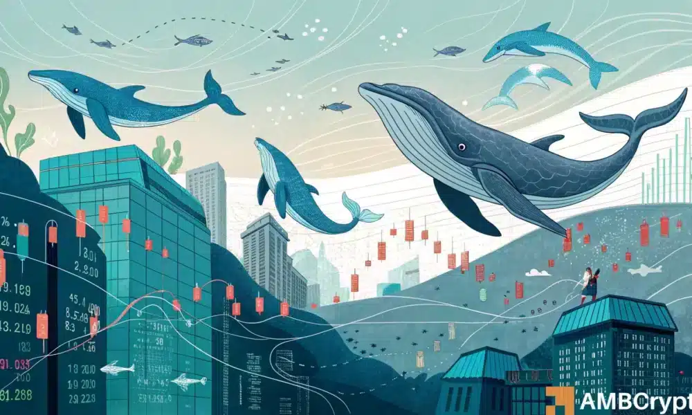 Analyzing Monad’s post-mainnet pump: Are we one wick away from a flush?