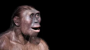 A strange ancient foot reveals a hidden human cousin