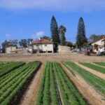 More Israelis now live in Gaza border communities than before Oct 7 Hamas attack