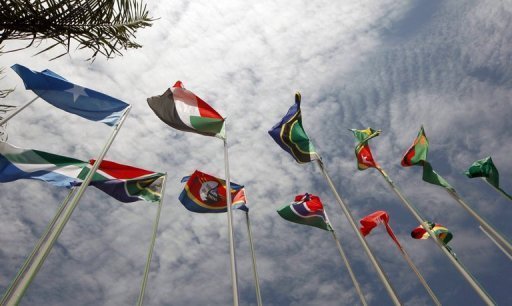 FM: Egypt ready to transfer successful health experience to African nations