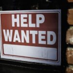 New K9 cops: How Windsor police handpicked, trained dogs — and what they can do