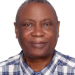 The illusion of a single party, By Eric Teniola