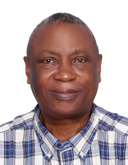 The illusion of a single party, By Eric Teniola