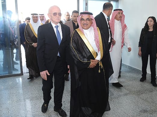 Egypt, Saudi Arabia set to launch joint initiative to localize medical supplies production