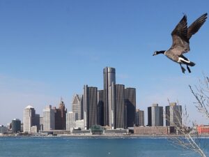 Photos of the Year: Dan Janisse’s best Windsor Star feature shots of 2025