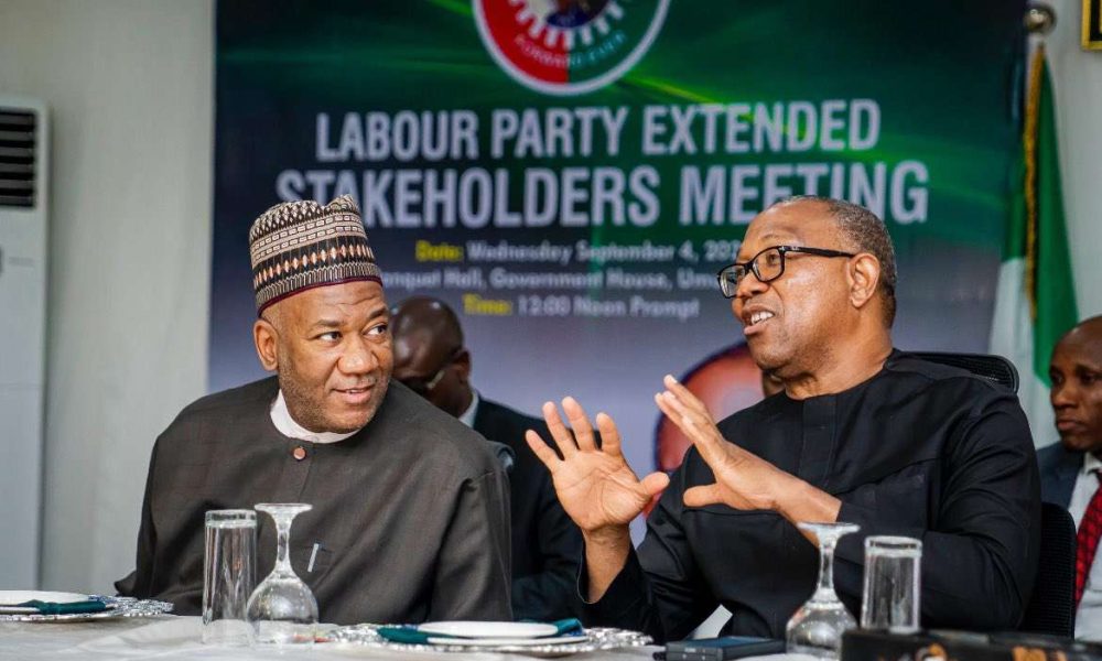 Obi allies Yesufu, Rhodes-Vivour, Yunusa named to ADC registration committee ahead 