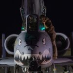 ‘Experienced terrorist’ with links to deadly ambush killed by US strike