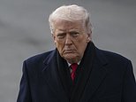Nato now ‘heading for disaster’ in Trump row: UK official’s warning as Starmer tells US President he’s ‘wrong’ and EU aims £81billion ‘trade bazooka’ at America