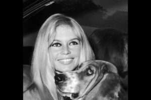 Brigitte Bardot, who turned fame into a lifelong fight for animals