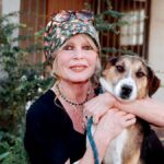 Brigitte Bardot Remembered for Film Career, Tireless Animal-Rescue Efforts – and Edgy Politics