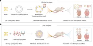 Effective combinatorial antifungal therapy using a host defense peptide mimic that self-assembles into delivery micelles