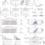 Single-strand deaminase-assisted editing for functional RNA manipulation
