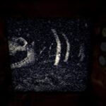 Iron Lung climbs the charts on Google Play into the top 20 for paid apps