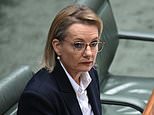 Sussan Ley makes first public comments since bombshell move against her Liberal leadership