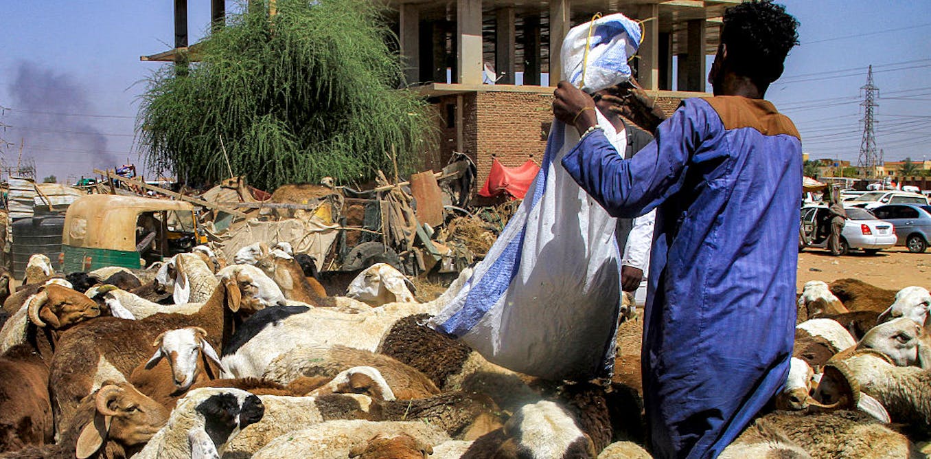 Sudan: how warring factions gained influence in the country’s food system – and what it means for the current conflict