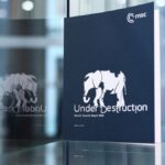 ‘Wrecking-ball politics’: A guide to what’s at stake at the 62nd Munich Security Conference 2026