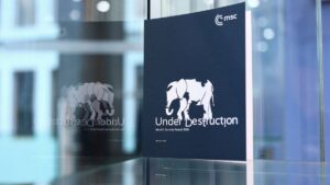 ‘Wrecking-ball politics’: A guide to what’s at stake at the 62nd Munich Security Conference 2026