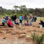 Some forest restoration linked to short-term rise in zoonotic diseases