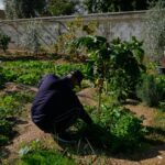 Palestinians struggle in West Bank as Israel limits work permits