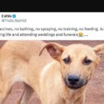 The Trending Memes in Nairobi This Tuesday