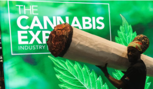 The Cannabis Expo 2026 announces BudBox as presenting partner