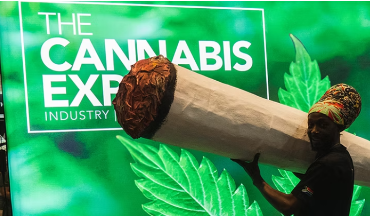The Cannabis Expo 2026 announces BudBox as presenting partner
