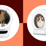 Is the Viral Litter-Bot Worth the Hype? My Cats Think So