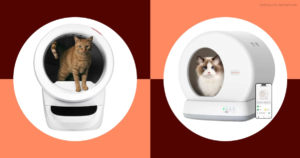 Is the Viral Litter-Bot Worth the Hype? My Cats Think So