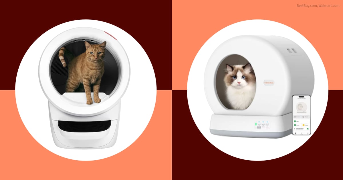 Is the Viral Litter-Bot Worth the Hype? My Cats Think So
