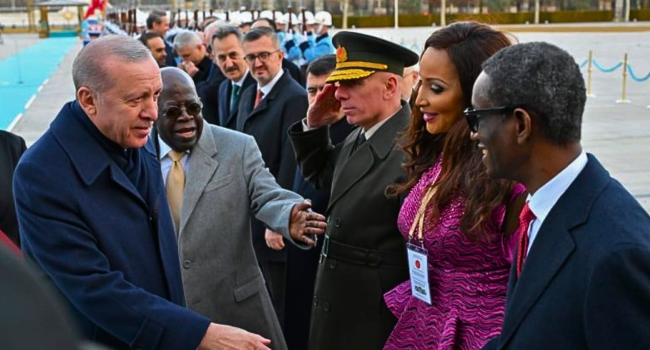 Tinubu Continued Talks With Erdoğan After Misstep, Says Presidential Aide