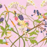 Chiara Xie creates illustrations that go with the flow